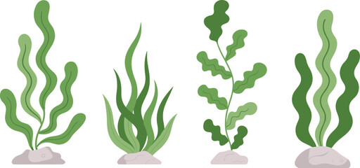 Underwater plant illustrations with diverse seaweed shapes, aquatic vegetation, and marine vector design concepts © Creative Stoker