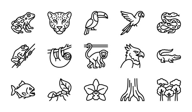 Amazon Rainforest Icons: Wildlife, Flora, and Ecosystem Vector Set