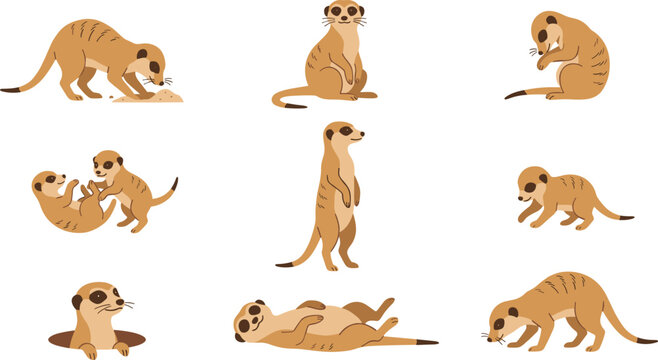 set of funny animals