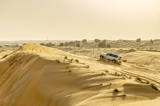 White SUV Driving Across Murqquab Desert Dunes at Sunset, Dubai, United Arab Emirates