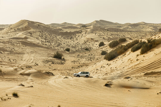 White SUV Driving Across Murqquab Desert Dunes at Sunset, Dubai, United Arab Emirates