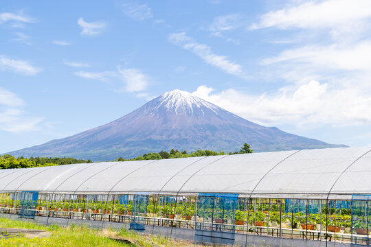 富士宮市から眺める富士山
