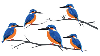 Naklejka premium Azure Kingfisher Vector Icons, Blue and Orange Bird Flat Design, Exotic Australian Waterfront Wildlife Illustrations, Minimalist Colorful Graphic Set