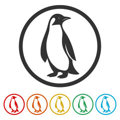 Obraz premium Penguin Icon. Set icons in color circle buttons