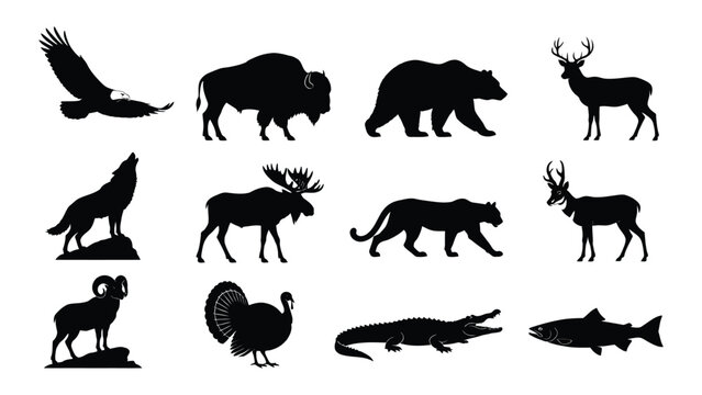 Diverse collection of North American wildlife animal silhouettes isolated on transparent background for design purposes