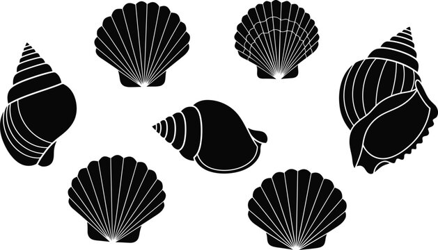 Set of black silhouettes of various seashells isolated on white background