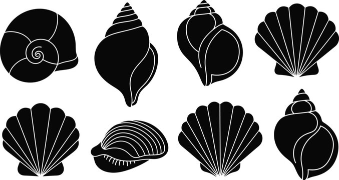 Set of black silhouettes of various seashells isolated on white background