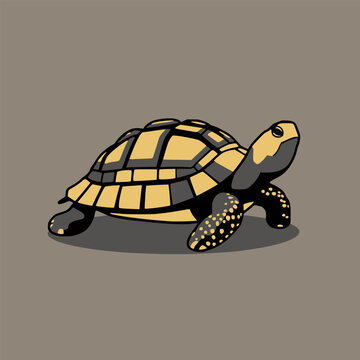 Land turtle vector illustration with graphic black contours.

Flat vector illustration of a realistic land tortoise standing on a solid background. The artwork features an intricately det