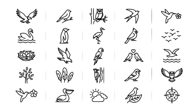 A clean minimal vector illustration set of birds thin line icons displayed in a balanced grid on a solid white background. The collection includes different bird species and poses such as flying bird,