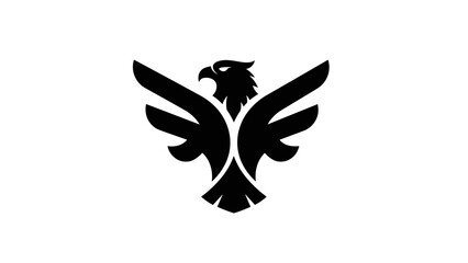 Fototapeta premium Eagle
