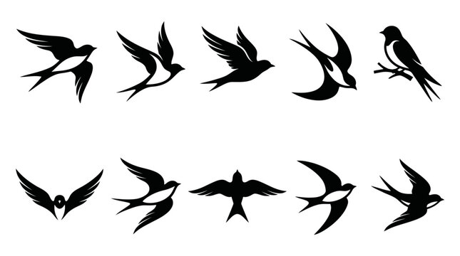 10 Swallow Bird Silhouette Vector Pack &ndash; Elegant Flying Bird Collection