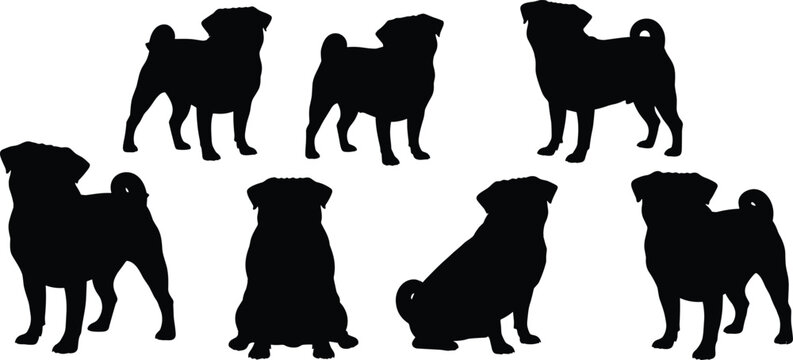 Pug dog vector silhouettes. Pug icons in sitting and standing poses for pet, animal, and dog illustrations. Creative Pug designs for educational and decorative projects.