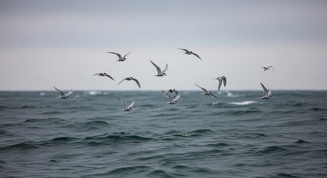 A flock of arctic terns soaring gracefully over the ocean waves under a cloudy sky