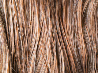 Naklejka premium Brown hair hairy background, health beauty concept, scalp hair woman clean and clear dandruff, close up brown hair healty non problem, lifestyle medical hygiene care head.
