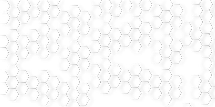 Gray stroke hexagon like honeycomb seamless geometric polygonal repeatable pattern abstract monochrome element vector illustrator design in white background used as wallpaper, business card etc.