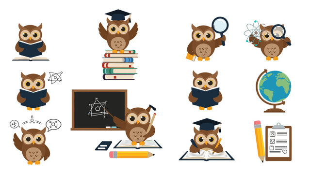 Set of wise owl characters depicted as teachers and students engaged in various educational activities like reading and geography.