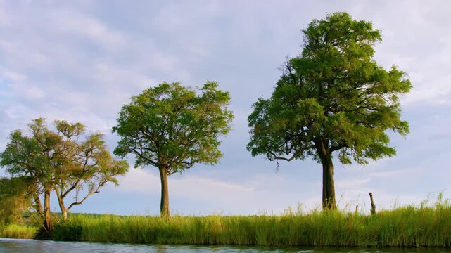 The chobe river view from a small dedicated photography boat. Covering from Kasane to Serondela. A low angle and different perspective