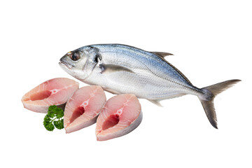 picture of mackerel without background © MUHAMMAD DENNI