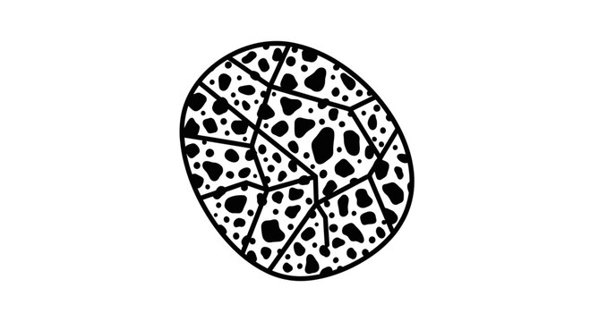 Abstract Cracked Egg Shell Pattern Vector Illustration