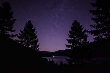Fototapeta premium Dark pine trees frame a vast starry night sky over a calm lake. Distant lights twinkle on the far shore, creating a peaceful, remote wilderness scene.