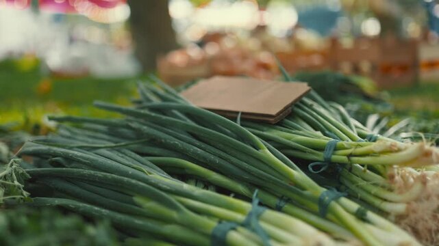 Fresh vegetables being sold at a farmers market in the afternoon sun