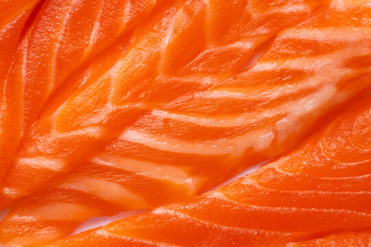 Close-up of Fresh Raw Salmon Fillet with Marbling Texture,Macro,Top view macro shot of fresh raw salmon slices, showcasing the vibrant orange color and beautiful white fat marbling patterns.