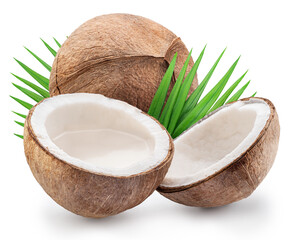Fototapeta premium Peeled coconuts fruit with white flesh, palm leaves and a piece of coconut