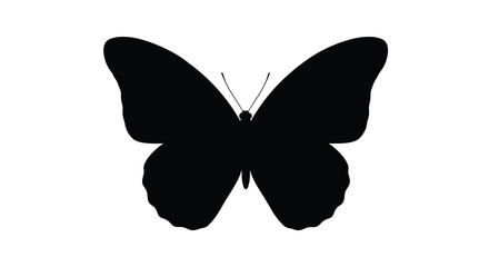 Black butterfly silhouette on a white background © MDALTUFHOSAIN