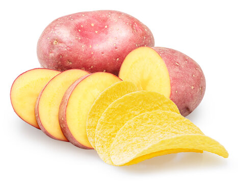 Golden crispy potato chips and fresh potato slices isolated on a white background. Concept of fresh organic produce "straight from the garden".