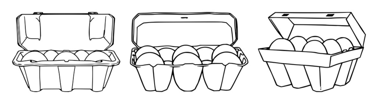 Egg carton box set with crisp black line art on white background featuring minimalist, singular outline, factory packaging with icons and cartographic details
