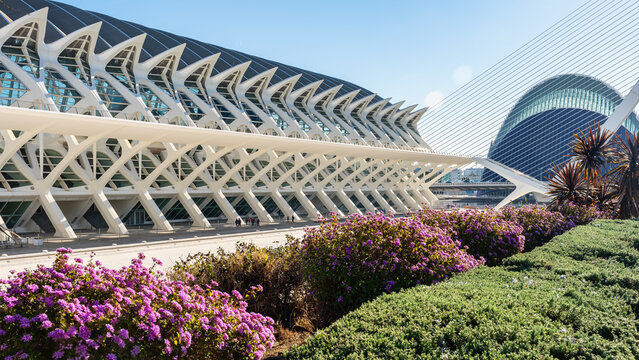Principe Felipe Science Pavilion in the city designed by Calatrava, Valencia, Spain.