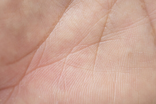 Close-up of Human Palm Lines and Skin Texture,Macro shot of a human palm showing detailed skin texture, epidermal ridges, and palmistry lines. A high-resolution image capturing the organic patterns.