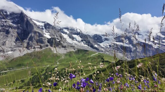 Eiger, Jungfrau, M&ouml;nch, Breathtaking Alpine Peaks from M&auml;nnlichen Hiking Trail