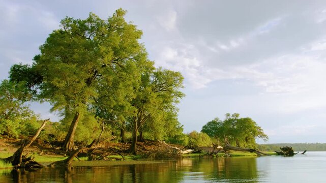 The chobe river view from a small dedicated photography boat. Covering from Kasane to Serondela. A low angle and different perspective