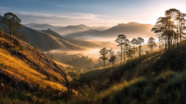 Golden light bathes misty valley surrounded by tree-lined hills