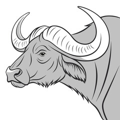 Obraz premium African buffalo stands with a powerful gaze in this grayscale illustrated profile.
