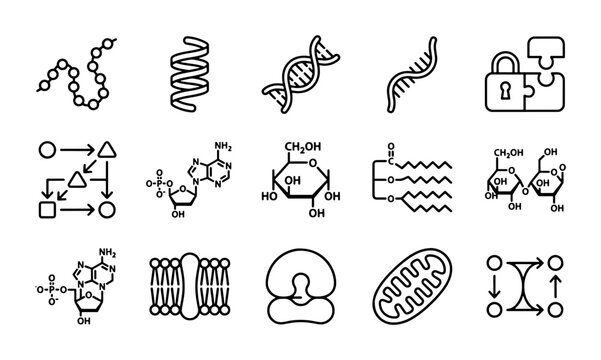 Biochemistry Icons Set: DNA, Molecules, Cells, Mitochondria, Genetic Code, Biology Research