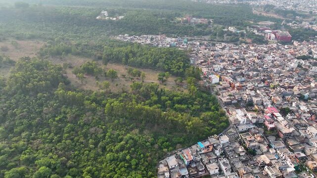 Drone pan shot highlighting deforestation and stark boundary between concrete buildings and woods.