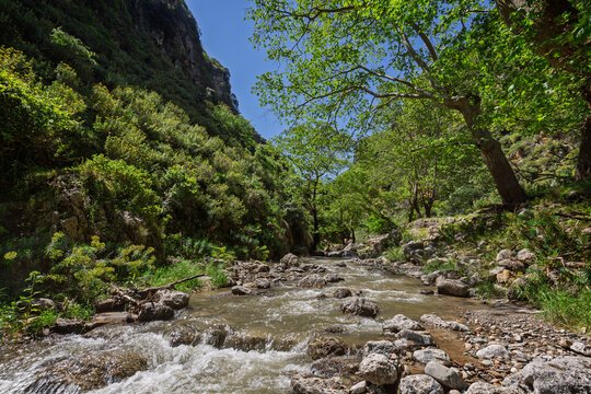 Idyllic landscape of a small river surrounded by lush trees in a valley at the Topolia Gorge in Crete, Greece, on sunny day.