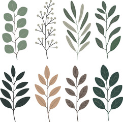Fototapeta premium Collection of Botanical Elements With Green and Brown Hues