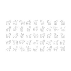 Obraz premium Large collection of assorted mammal animal icons in line art with wildlife