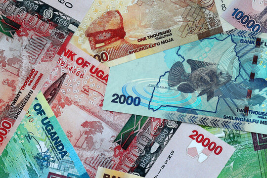 Ugandan shilling money banknotes pile on table. Uganda bills of UGX currency close up