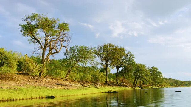Tourist in Mokoro boats on water in the Okavango Delta in Botswana