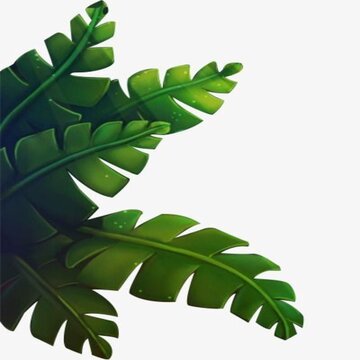 daun  kelapa
