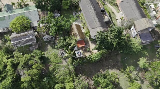 Drone descends in bird's eye view of wooden platform overlooking forest and beach on a sunny afternoon in Tofo, Mozambique
