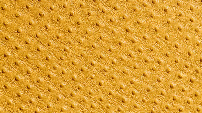 Premium high quality yellow ostrich leather texture background showing unique follicle pattern. Elegant genuine animal skin material ideal for luxury fashion concepts.