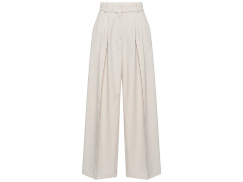 White Wide Leg Pleated Trousers Pants Women Fashion Vector Illustration