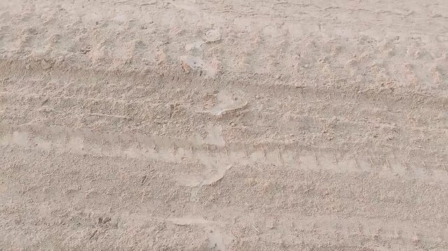 Close Up View Of Snake Track On Dusty Village Path