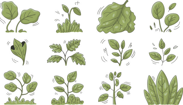 A set of hand-drawn green plant illustrations featuring various leaf shapes and foliage types for sustainable World Environment Day designs