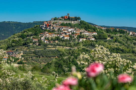 Croatia, a panoramic view of the beautiful medieval town and fortress of Motovun, perched atop a high hill on the Istrian peninsula